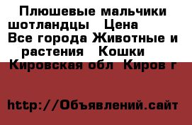 Плюшевые мальчики шотландцы › Цена ­ 500 - Все города Животные и растения » Кошки   . Кировская обл.,Киров г.